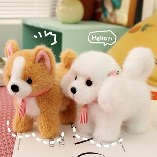 �ɐ۷��湷��ë�q����F�eȮ��ʿ���ë�»���վ��С����ż�Y��