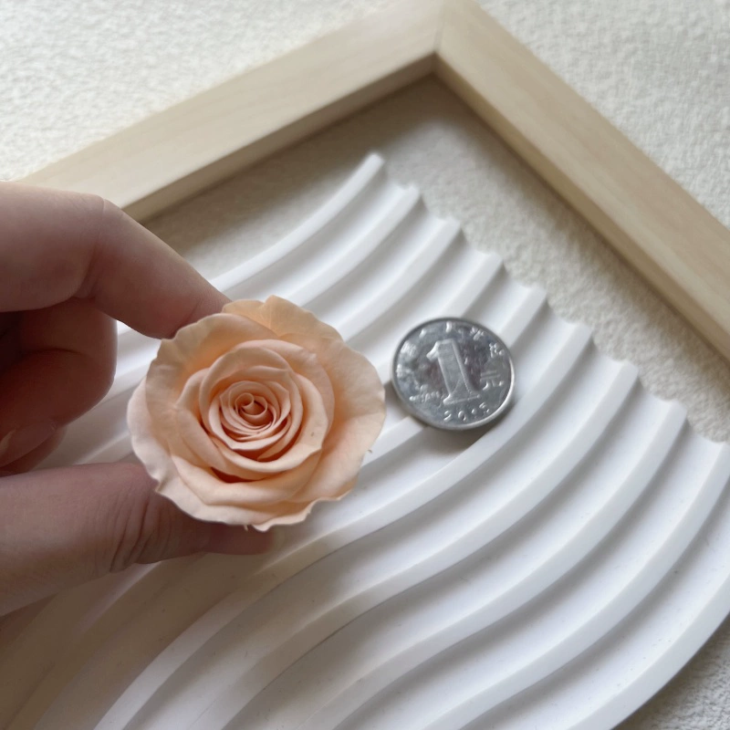 Материалы для DIY вечной жизни цветка, класс B, голова вечной розы 2–3 см, маленький брелок-розочка с основным материалом