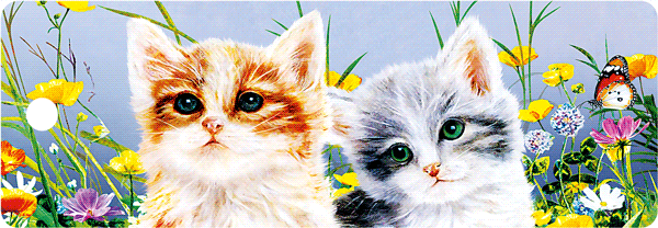 c299a61058c4195a57133cedb68cdd