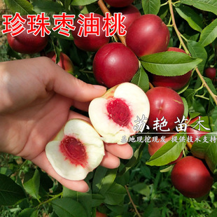 �޽����� ���闗������ ���闗���Ҙ������������Ϸ������Nֲ