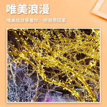 ���ƻòʹ��՝M�����b�С�ʟ���������¶�I�Շ�LED�l���������