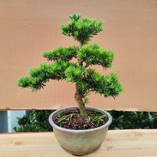 ���T�_�h���辰ͥԺ�Gֲ�ļ�������B�ͻ����ڸߙn�ͺ��L��