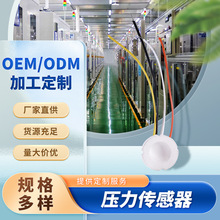 陶瓷压阻传感器、陶瓷压力传感器、压阻式陶瓷传感器、压阻芯体