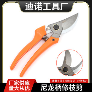 ��֦��@ˇ��֦���๦�ܘ�֦��@�ּ�������������ʡ���ք���֦��