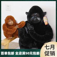 ΨǌؐBƤëq߿ɐۄӹż޶Y