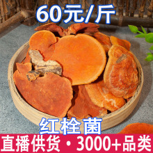 �t˨�� ţ��֥ Ѫ�t˨�� һ�����l