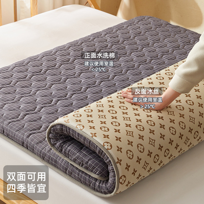 Colchón de colchones de seda helada de verano, cojín, dormitorio de estudiantes en casa, cama de tatami de invierno y verano individual, estilo delgado