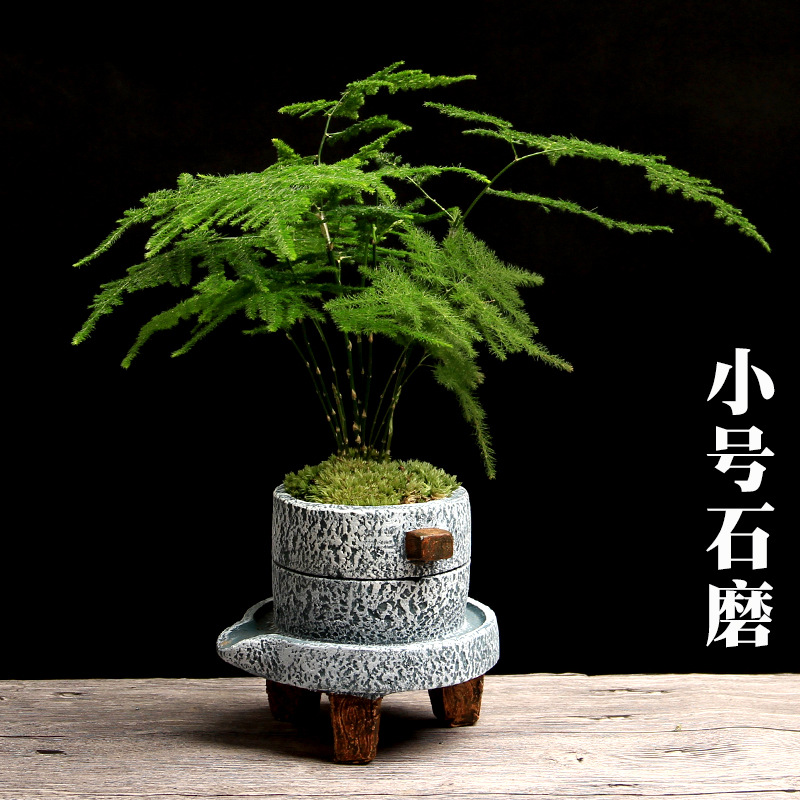 小石磨创意水泥花盆文竹绿植盆栽小花盆家用室内复古多肉植物花盆