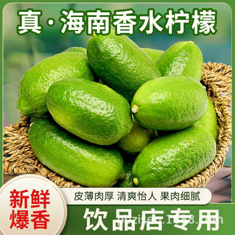 Hainan Perfume Lemon Fresh Fruit Seedless Green Lemon Bullet-Shaped Long Strip Authentic First-Grade Fruit for Milk Tea Shop Use