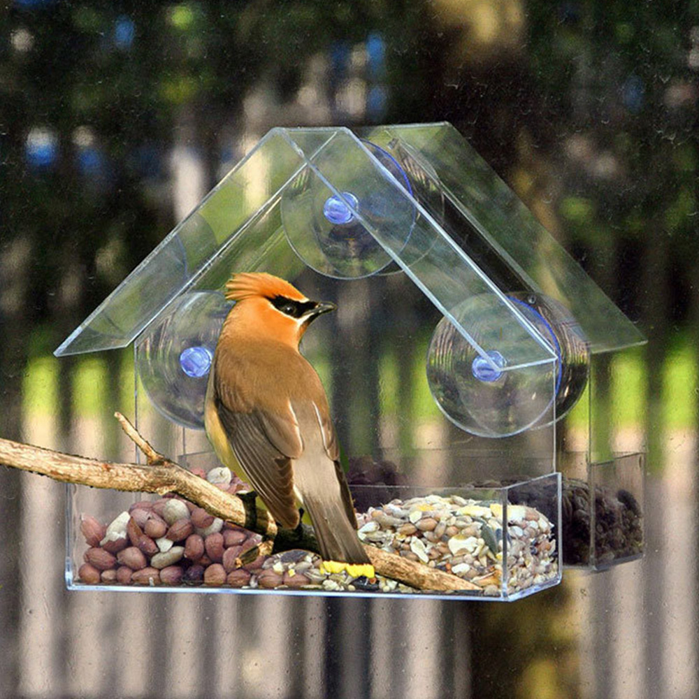 T Amazon's popular transparent acrylic parrot feeder hummingbird suction cup hanging bird feeder pet supplies 2