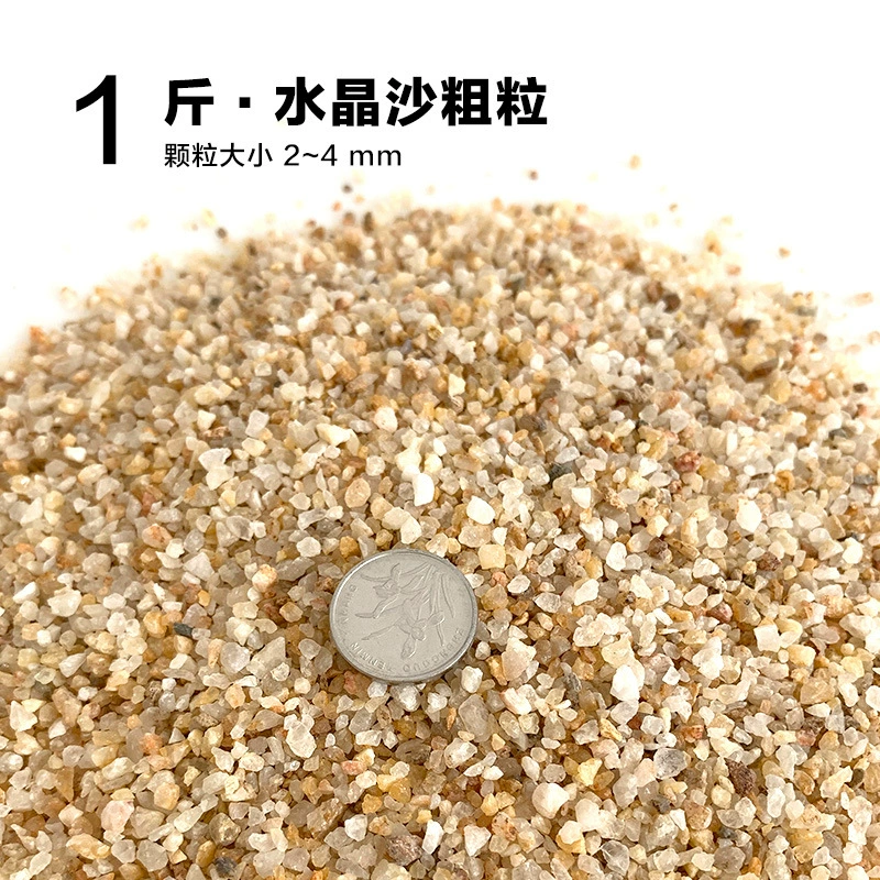 楸肩几搴曠爞閫犳櫙搴曟矙涔岄緹娌虫矙鍖栧