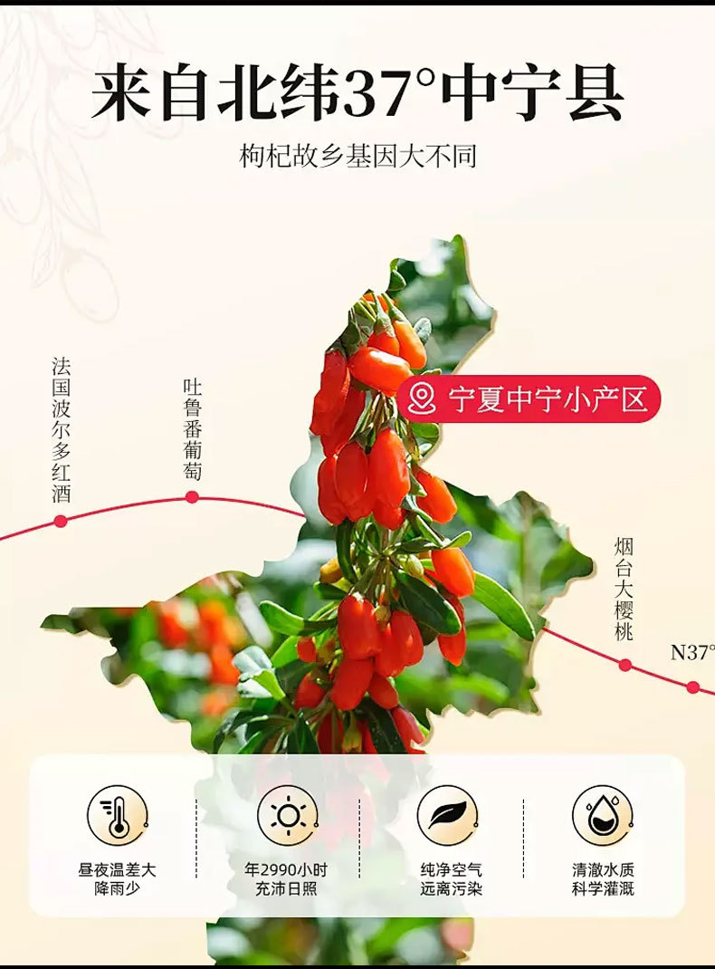 Goji Berry (Lycium barbarum) — Ningxia Dried Wolfberry, Sulfur-Free, 150g Jar overview