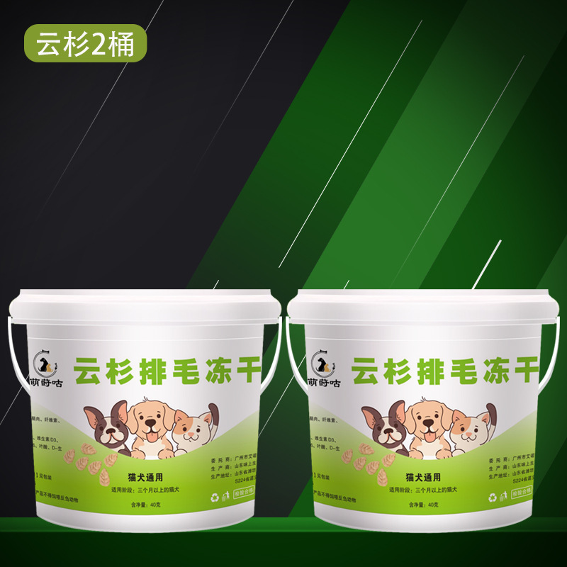 Abeto de abeto helado para gato helado