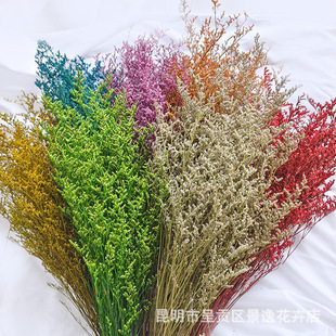 Immortal lover's grass wholesale lover's grass dried flowers suck color lover's grass Amazon for bouquet with grass 120 grams