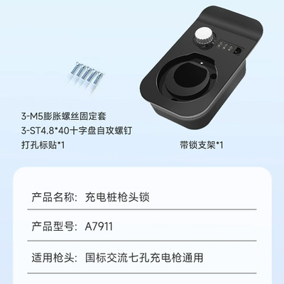 gun holder BYD charging gun – Car lock