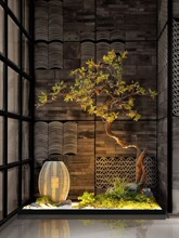 室内景观造景组合别墅楼梯下装饰山水绿植迎客松玄关植物摆件