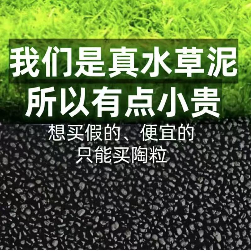 水草泥水槽造景底砂基肥種子栽培水藻草タンク洗浄浄化水質水草土|undefined