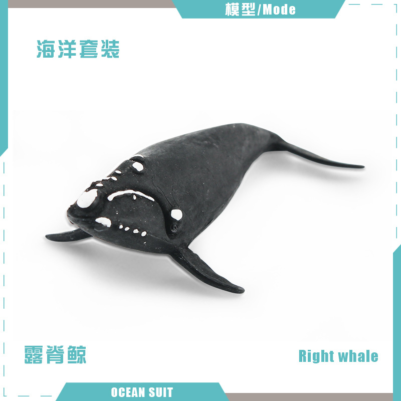 Simulación transfronteriza de una variedad de animales marinos traje de tiburón ballena tortuga delfín pingüino cangrejo criaturas marinas adornos