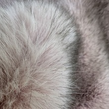 �Ӻ��pɫȾ��º���ë���� ���bë�Iñ��ë�� cosplay�F�b����