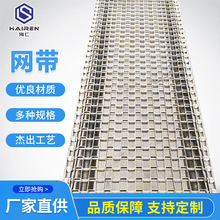 定制不锈钢链条式网带定制304食品烘干网链201耐高温金属输送带