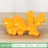 Large ginger