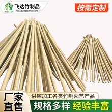 毛竹竿装饰装修竹子庭院隔断大毛竹搭架菜园大棚竹杆防腐防虫白竹