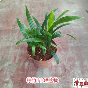 �������ԣ�110#���ؙ����҃��^�~���ܾGֲ �ļ����������՚����^