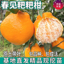 һ�����l��Ҋ���θ�����ϱ������Լ޽��������Խ��Ә���ҰҸ���