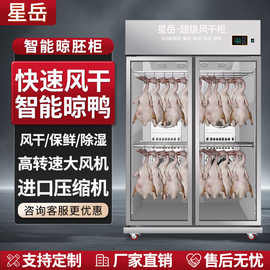 星岳烤鸭风干晾胚柜烧鹅烧腊鸭胚乳鸽晾干机智能晾胚风干柜商用