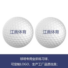 高尔夫球礼品球练习球比赛球彩球夜光球批发生产品质保证可印LOGO