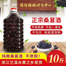 桑葚酒5斤装自酿桑葚果酒农家桑果酒52度高粱烧侵泡