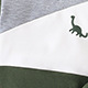 Baby Boy Dinosaur Patchwork Sweatshirt And Trousers Set Autumn_voghion.com