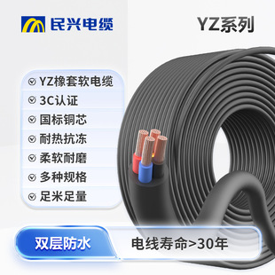 ���d��|YZ�p������ܛ��|300/500V����1/1.5/2.5/4/6ƽ����|��