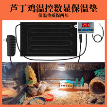 �J���u���؟��g��ȡů�������񱳟��W�^�ӟ�|����С�u늟ᱣ�؉|