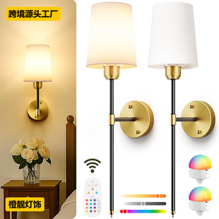 ���R�d��ʽ�o���ڟ�RGB�b�؟��ݿ͏d�����b������Ҵ��^�Շ���