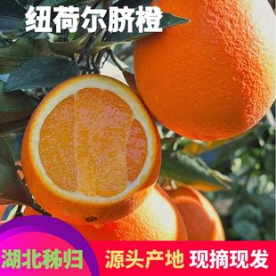 ���w�~�ɠ����Ě�ȬFժ���r�������l��Ƥ��֭���䑪�����r��ˮ��