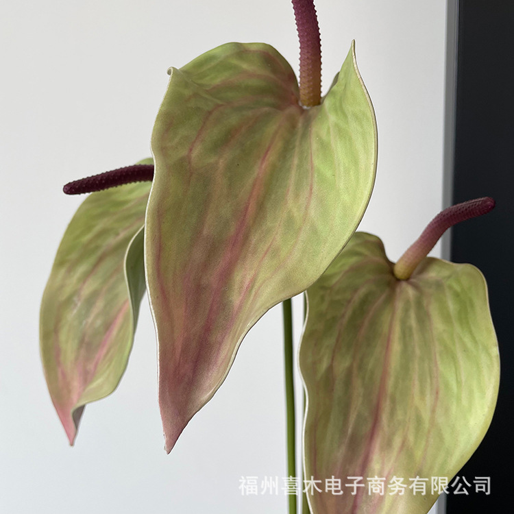 photo-output_2 2.JPG