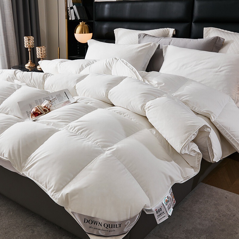 Down quilt 95% white goose down padded warm winter quilt spring and autumn quilt core class a cotton mute down quilt does not run down
