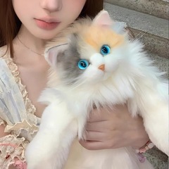 震え音の同じタイプの三花猫は猫の人形のぬいぐるみのぬいぐるみの猫のリュックサックの誕生日プレゼントをシミュレーションします。