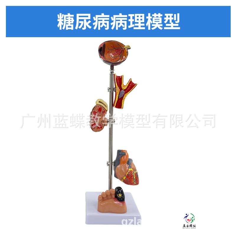 ��/Ѫѹģ�� ����/��������ģ�� ��̬������ ��Ѫѹ��������Ѫ��