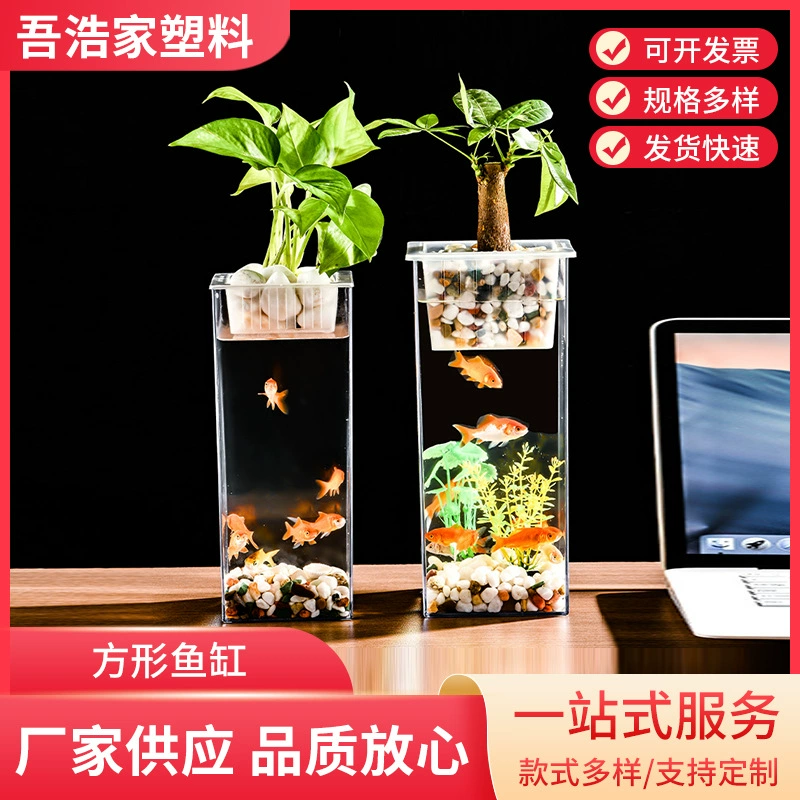 Transparent square rich bamboo hydroponic flower vase ornaments fish tank container goldfish green plant ornamental micro landscape ecological tank