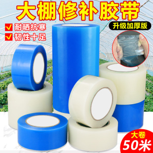 �S�����l��ճ����Ĥ���a�z����ˮ��������Ĥ�ޏ��z���ͺ������z��