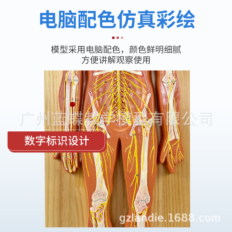 ������ϵͳ����ģ�� ����������ϵͳģ�� �� ���� ��Χ����