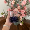 Blue ice cubes, with gem