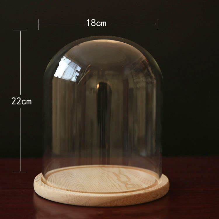 Fábrica eterna flor cubierta de vidrio creativo artesanía decoración transparente florero de cristal soporte varios tamaños