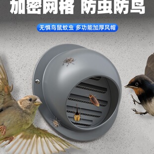 304���P�ͨ�L�ڇ��ܻ�ɫ�Lñ�⠝���L���͟��C�����L�����L��E18