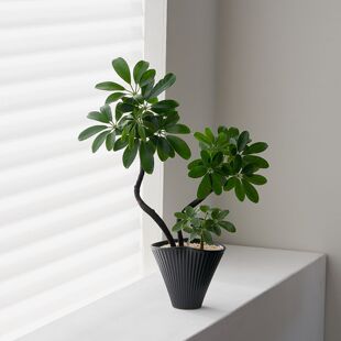 ���Ͱlؔ����ؔ�����k���ҾGֲ�҃��ļ��͏d��������ֲ���辰���B