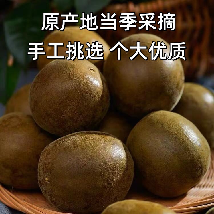 Dried Luo Han Guo Monk Fruit Whole Pods Large Size 50 Count Guangxi Herbal Tea for Throat Comfort quality and texture