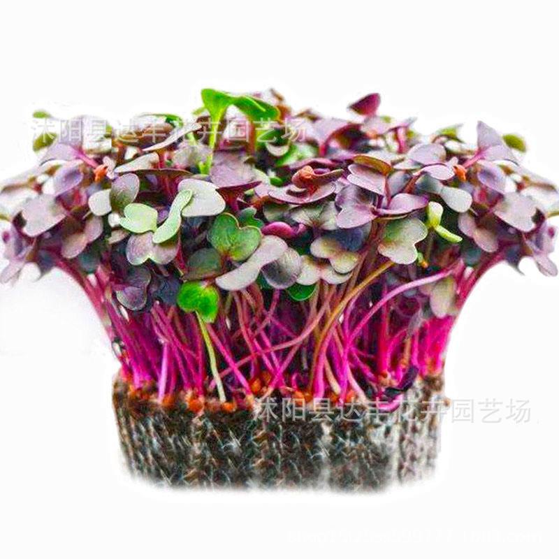 268fede0ee59907465372462486363