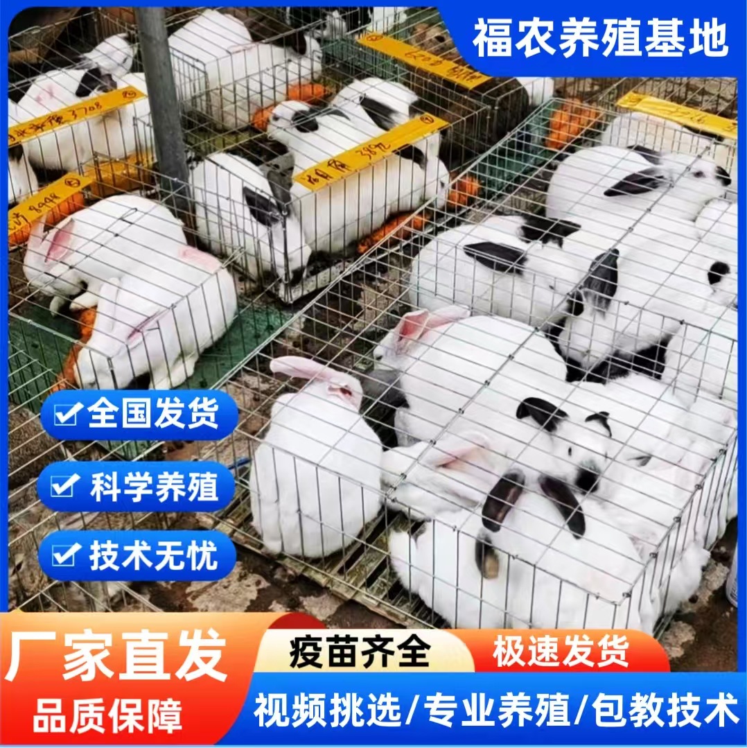 微信图片_20250311165843